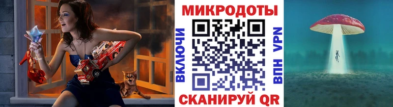 Галлюциногенные грибы Psilocybe  Купить закладки  Куйбышев 
